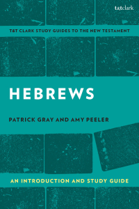 Imagen de portada: Hebrews: An Introduction and Study Guide 1st edition 9780567674753
