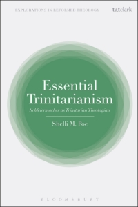 Immagine di copertina: Essential Trinitarianism 1st edition 9780567677082