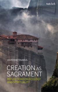Cover image: Creation as Sacrament 1st edition 9780567680709