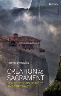 Cover image: Creation as Sacrament 1st edition 9780567680709