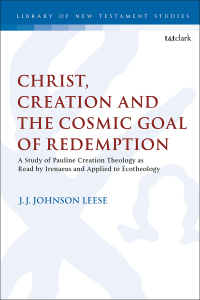 Imagen de portada: Christ, Creation and the Cosmic Goal of Redemption 1st edition 9780567692627