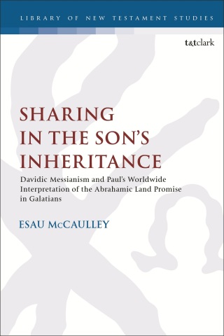 Cover image: Sharing in the Son’s Inheritance 1st edition 9780567685926