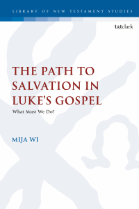 Omslagafbeelding: The Path to Salvation in Luke's Gospel 1st edition 9780567687371