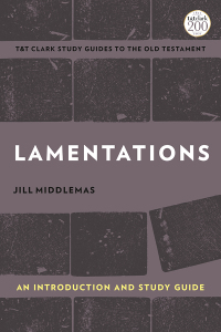 Cover image: Lamentations 1st edition 9780567696915