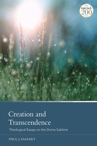 Cover image: Creation and Transcendence 1st edition 9780567698704