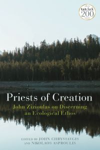 Omslagafbeelding: Priests of Creation 1st edition 9780567699091