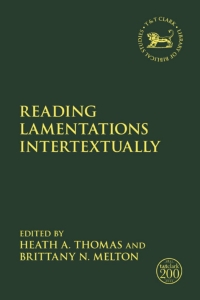 Cover image: Reading Lamentations Intertextually 1st edition 9780567699619