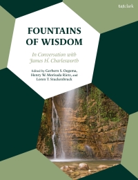 Immagine di copertina: Fountains of Wisdom 1st edition 9780567701275