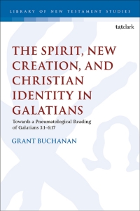 Cover image: The Spirit, New Creation, and Christian Identity 1st edition 9780567709257