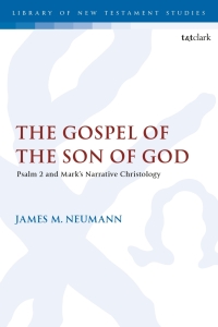 Omslagafbeelding: The Gospel of the Son of God 1st edition 9780567711489