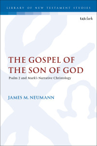 Imagen de portada: The Gospel of the Son of God 1st edition 9780567711489