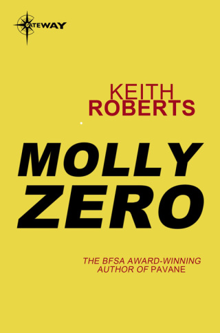 Cover image: Molly Zero 9780575104297