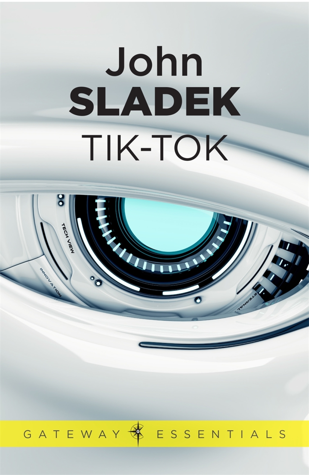 TikTok eBook