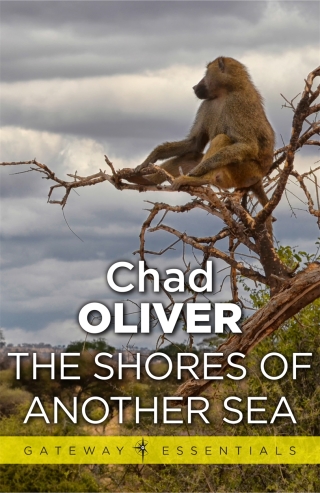 Cover image: The Shores of Another Sea 9780575126541