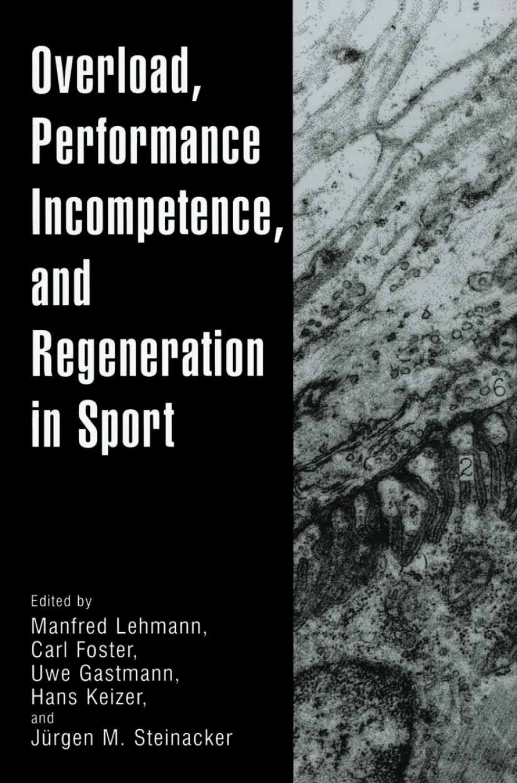 Overload, Performance Incompetence, and Regeneration in Sport 1st Edition