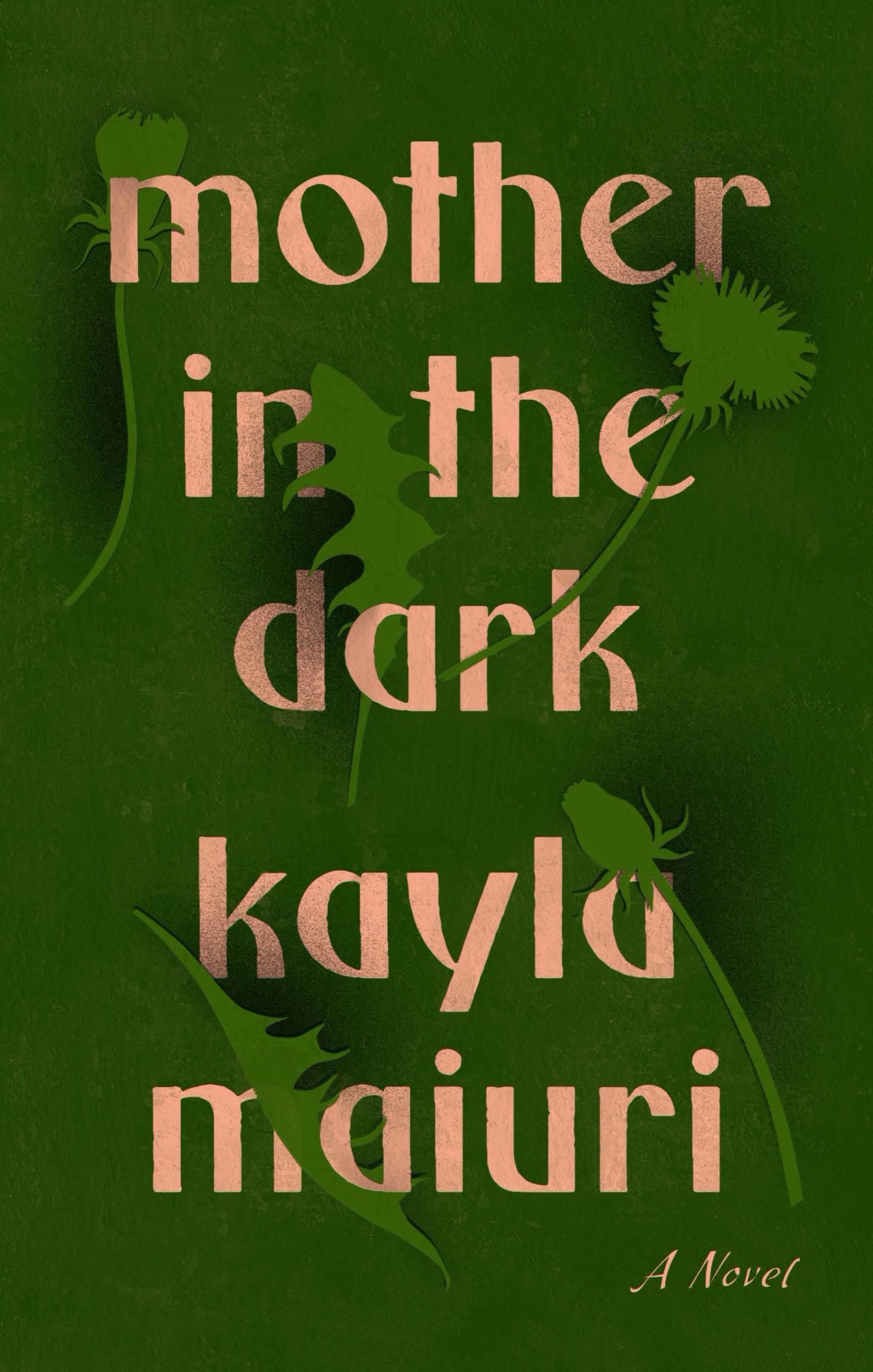 Mother in the Dark A Novel