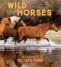 Cover image: Wild Horses 9780593109113