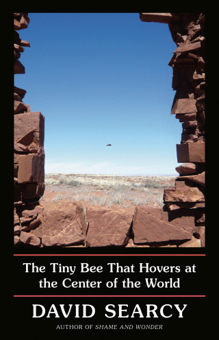 Cover image: The Tiny Bee That Hovers at the Center of the World 9780593133644