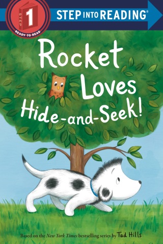 Cover image: Rocket Loves Hide-and-Seek! 9780593177891