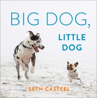 Cover image: Big Dog, Little Dog 9780593183663