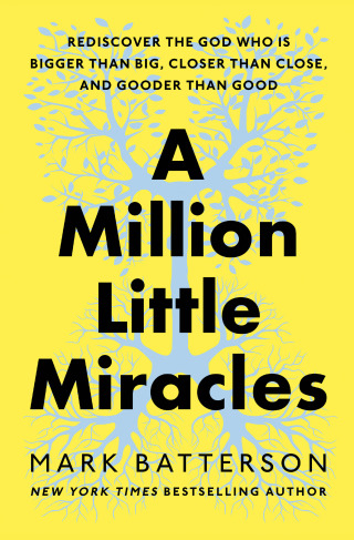 Cover image: A Million Little Miracles 9780593192818