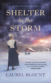Cover image: Shelter in the Storm 9780593200209