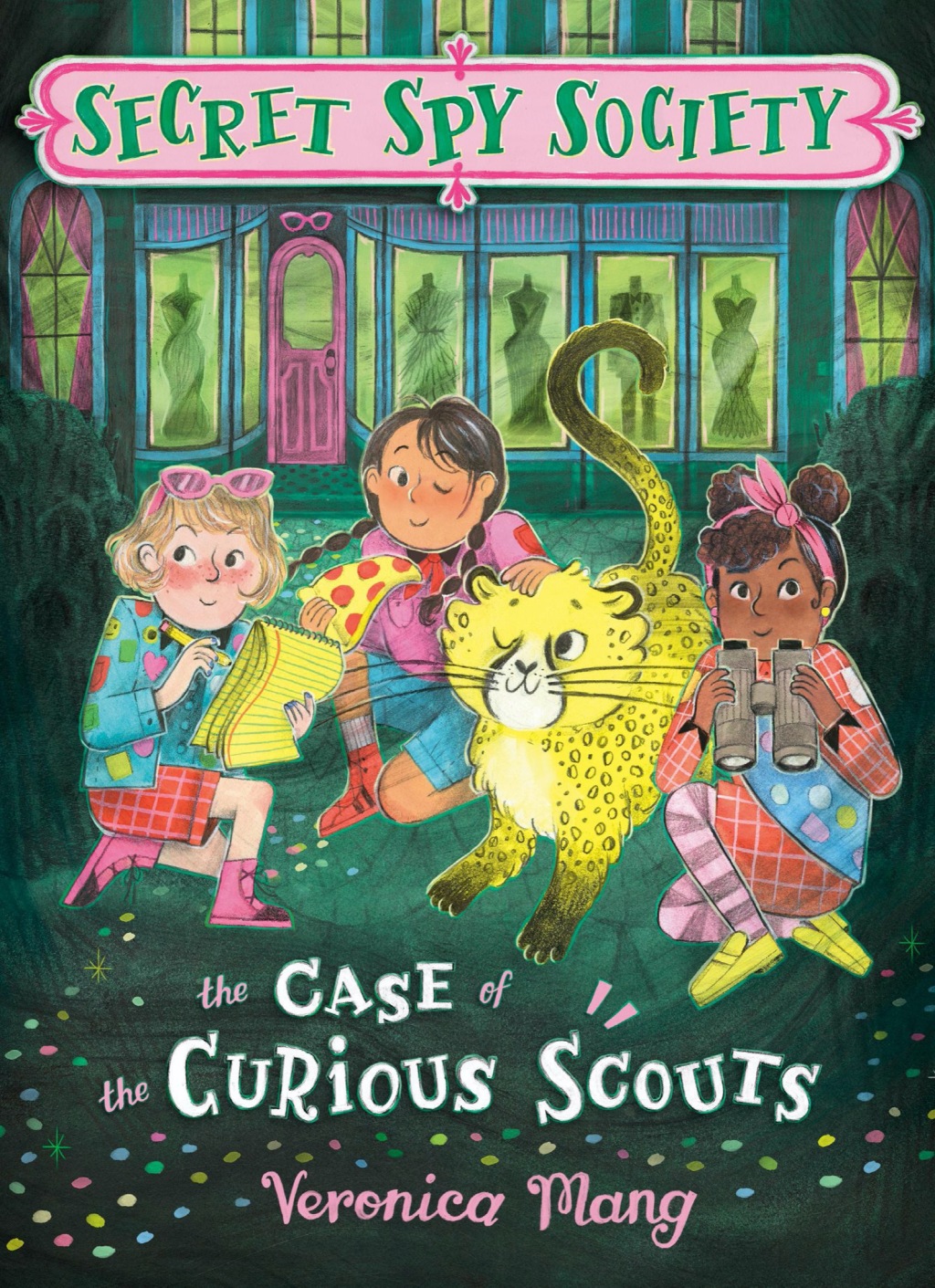 The Case of the Curious Scouts eBook