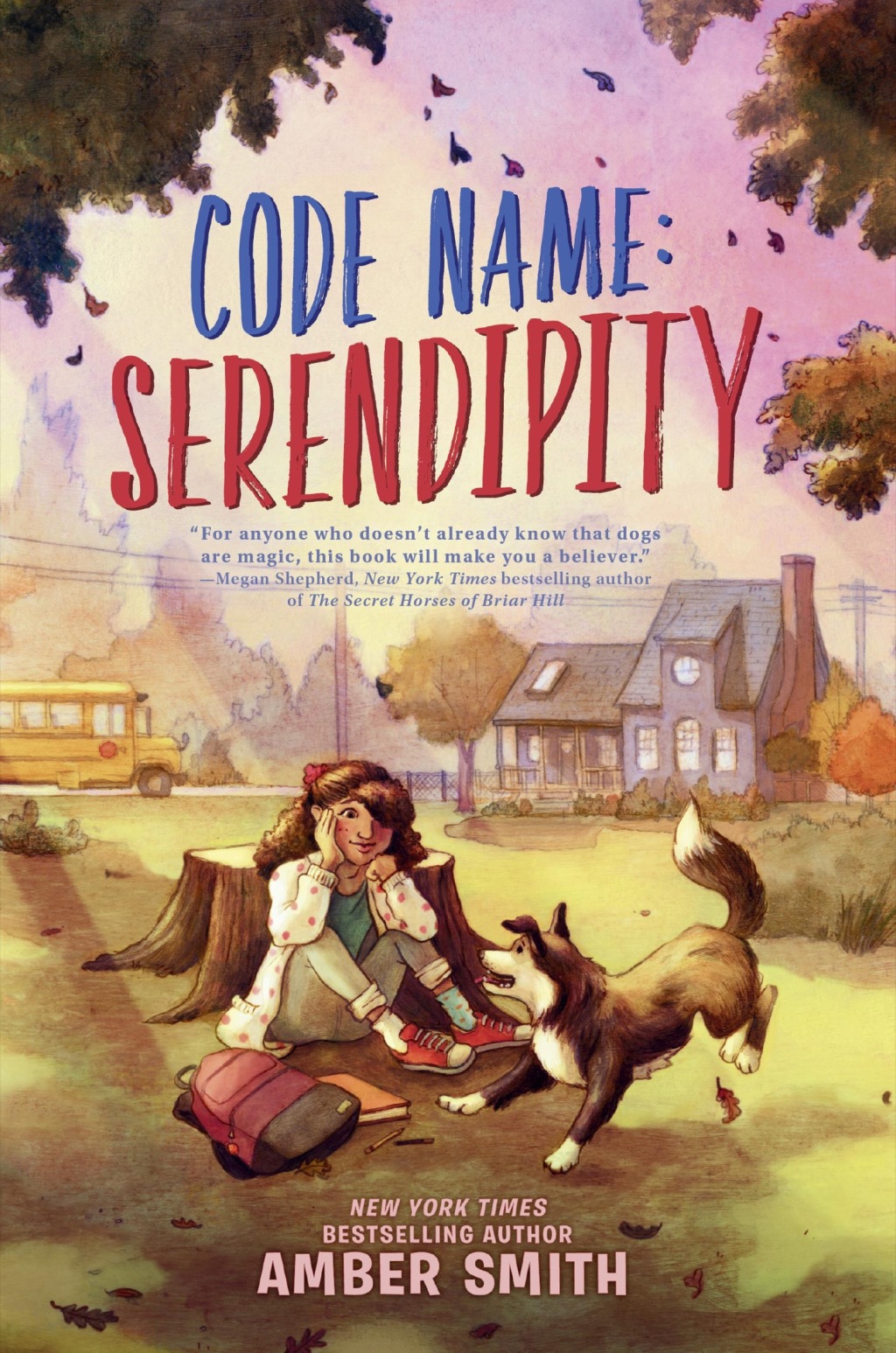 Code Name: Serendipity (eBook)