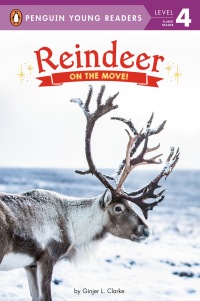 Cover image: Reindeer 9780593093108