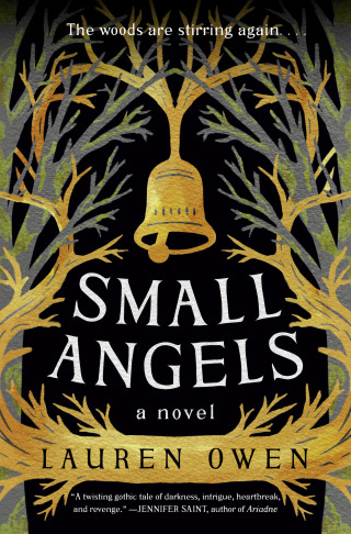 Cover image: Small Angels 9780593242209