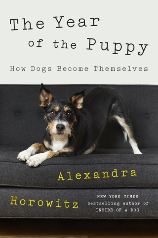 Cover image: The Year of the Puppy 9780593298008