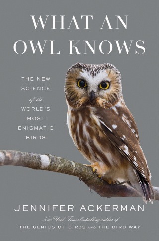 Cover image: What an Owl Knows 1st edition 9780593298886