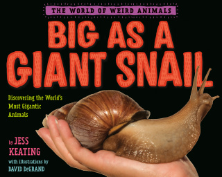 Cover image: Big as a Giant Snail 9780593300848
