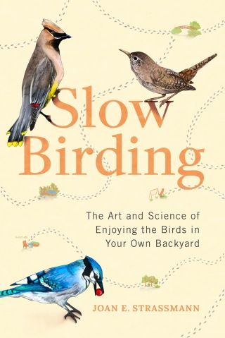 Cover image: Slow Birding 9780593329924