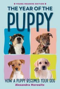 Cover image: The Year of the Puppy 9780593351307