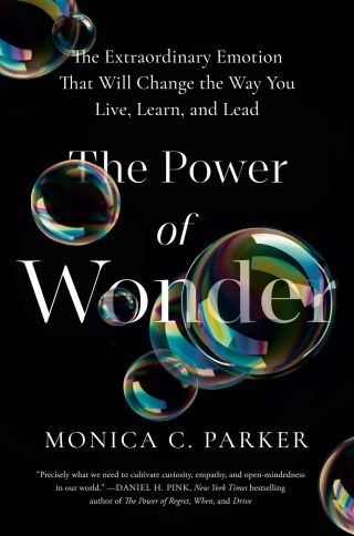 Cover image: The Power of Wonder 9780593419366
