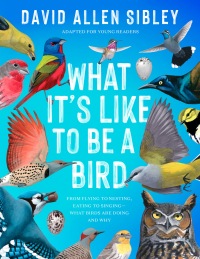 Cover image: What It's Like to Be a Bird (Adapted for Young Readers) 9780593430187