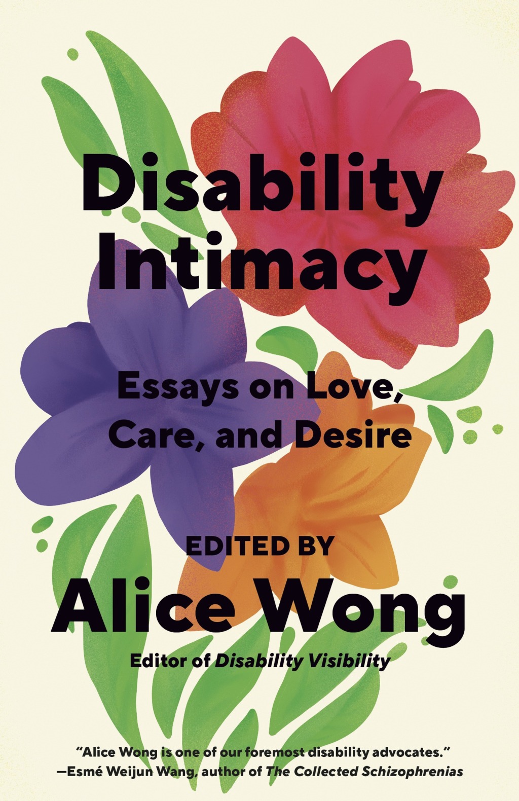 Disability Intimacy Essays on Love, Care, and Desire