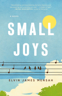 Cover image: Small Joys 9780593499986