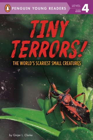 Cover image: Tiny Terrors! 9780593383964