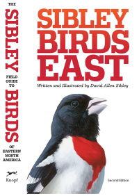 Cover image: The Sibley Field Guide to Birds of Eastern North America 9780307957917