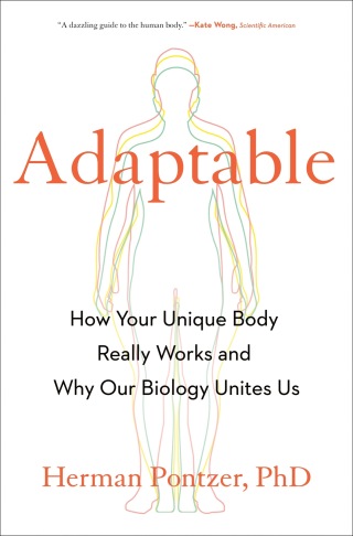 Cover image: Adaptable 9780593539309