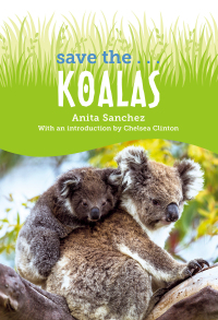 Cover image: Save the... Koalas 9780593622643