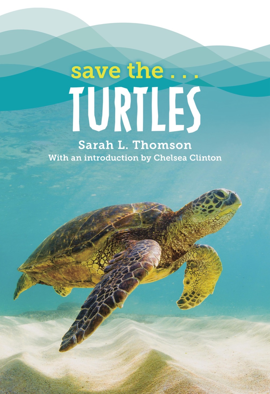 Save the…Turtles