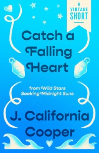 Cover image: Catch a Falling Heart