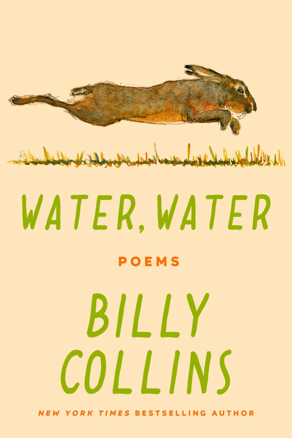Water  Water eBook