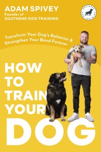 Cover image: How to Train Your Dog 9780593797303