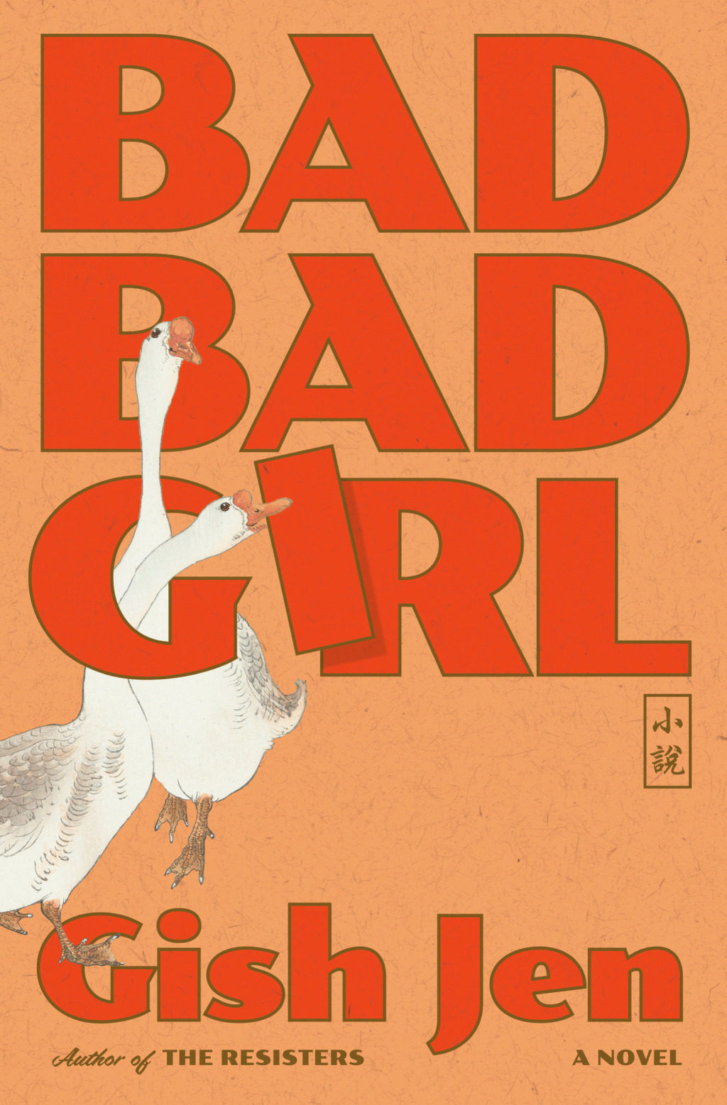 Bad Bad Girl eBook