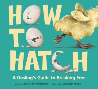 Cover image: How to Hatch 9780593811061