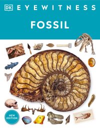 Cover image: Eyewitness Fossil 9780744092066
